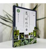 君子峰植物2